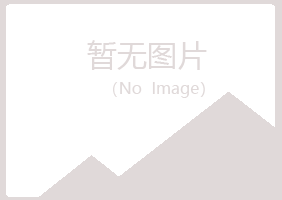 宁夏忆伤工程有限公司